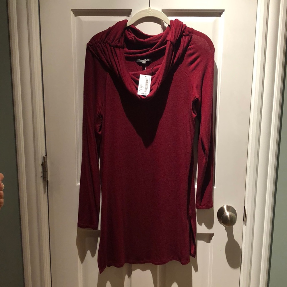 Wine Red Sweater Dress